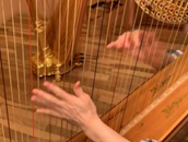 �n�[�v, ����, ����, �� ���܂܂�Ă���摜

�����I�ɐ������ꂽ����