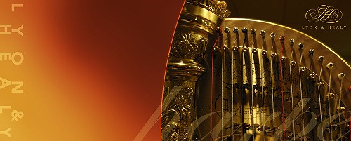 Lyon Healy�̃T�C�g���ʃE�B���h�E�ŊJ���܂�